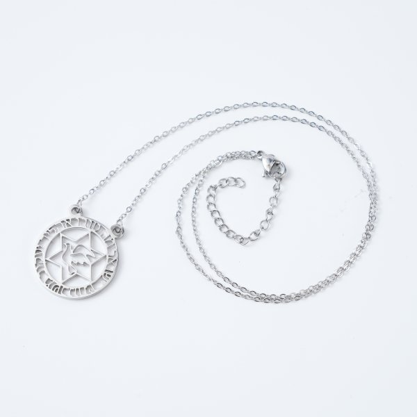 Polished Stainless Steel Kabbalah Dove Necklace - Image 2