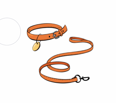 Pet Lead & Collar