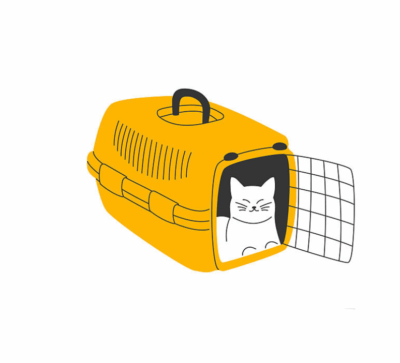 Pet Travel
