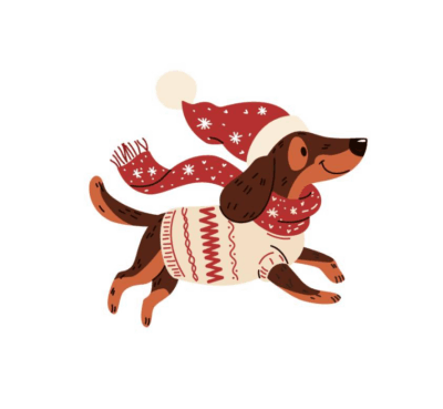 Pet Clothing
